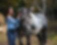 Girl with horse
