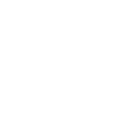 dog head