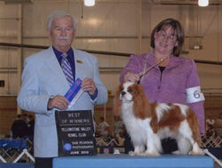 CH Castlemar's Birthday Boy