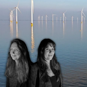 Kale bomen ruisen niet (2026)