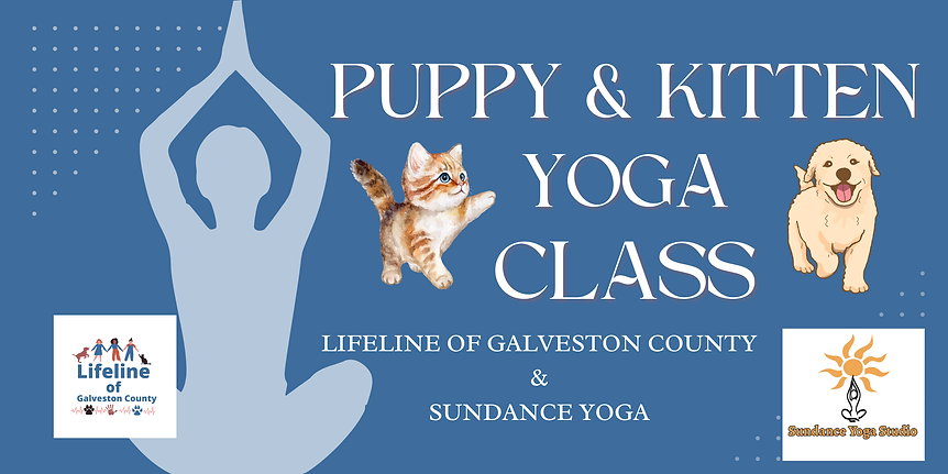 puppy & Kitten-2.png
