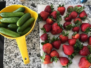 Meal Prep