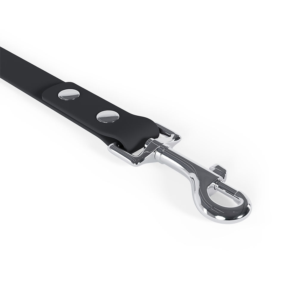 Thumbnail: FHGM CO Leash