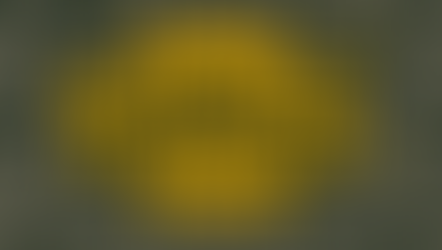 Write-Back in Power BI