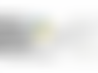 Power BI Templat mit Fabric Notebooks