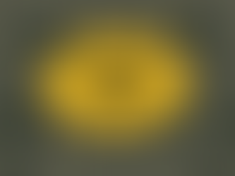 Power BI Trends 2026