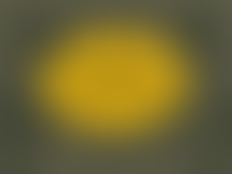 Power BI - Top 10 Dax Funktionen