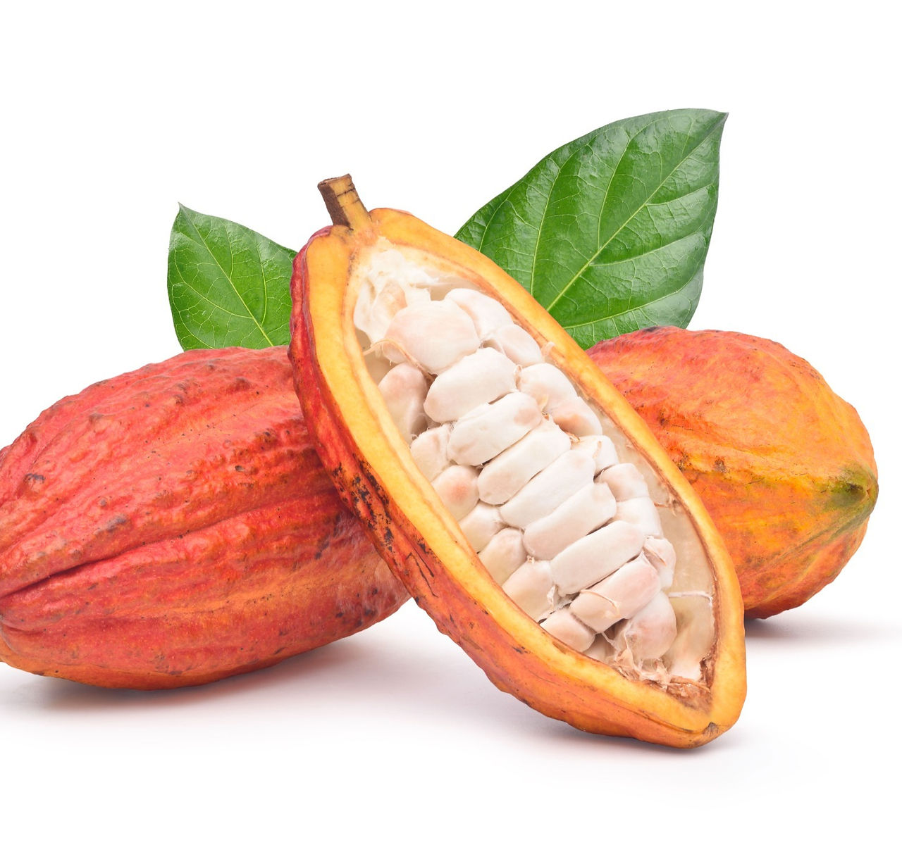 shutterstock_1179421480_edited_edited.jpg