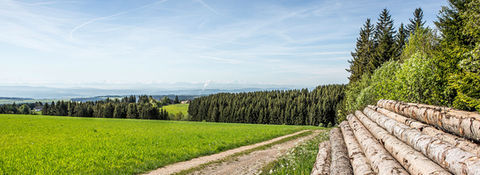 Panoramablick über Felder und bewaldete Höhen, klare Sicht bei Tageslicht.
