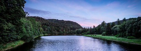 Waldsee im Schwarzwald mit dunkler Wasseroberfläche und grüner Umgebung.