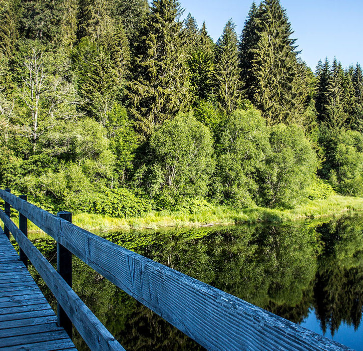 Lange Holzbrücke über einen klaren See, eingerahmt von Wäldern – Naturerlebnis pur.
