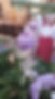 99aa3aa4-4bb7-4f43-9aa0-fa857d9a7838.jpg