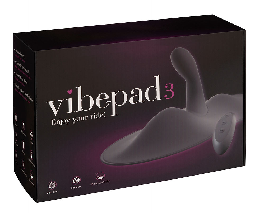 Miniaturbild: vibepad 3 Verpackung Vorderseite mit Produktabbildung