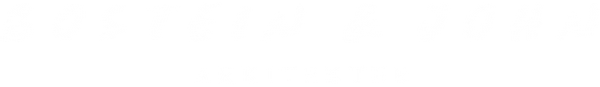 BSJ LOGO 2026 CENTRERAD.png