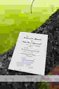 Camperdown Wedding Photography 3.jpg