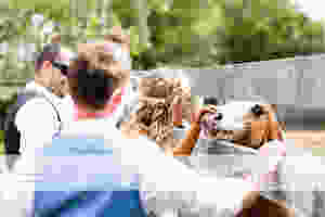  Geelong Wedding Photographer 190.jpg