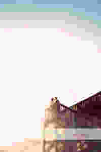 Geelong Surf Coast Wedding Photographer 103.jpg