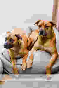 ljp 12o736 websize.jpg