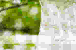 Camperdown Wedding Photography 18.jpg