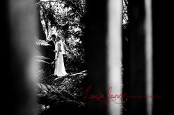 Wedding Photographyat Lyrebird Falls