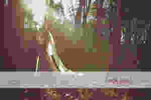 Geelong Surf Coast Wedding Photographer 106.jpg