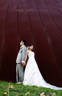 Melbourne Museum Wedding