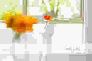 Camperdown Wedding Photography 13.jpg