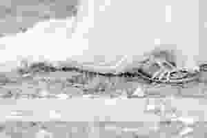  Geelong Wedding Photographer 151.jpg