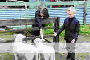 Camperdown Wedding Photography 12.jpg