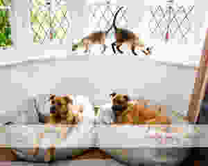 ljp 12o716 websize.jpg