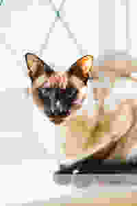 ljp 12o698 websize.jpg