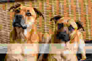 ljp 12o475 websize.jpg