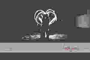  Geelong Wedding Photographer 1133.jpg