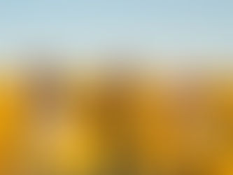 Counselling, when life is good!