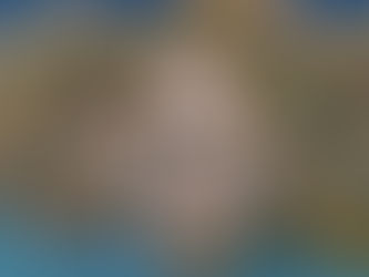 The Pressed Club: A Wellness Branding Case Study in Identity-Driven Fitness Brand Strategy