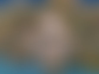 The Pressed Club: A Wellness Branding Case Study in Identity-Driven Fitness Brand Strategy