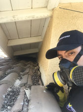 Cleaning & Disinfecting-Bird Masters LA Inc