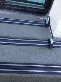 Electric Flat Track- Bird Masters LA Inc