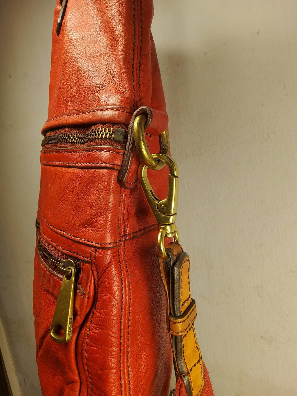 ภาพขนาดย่อ: FOSSIL