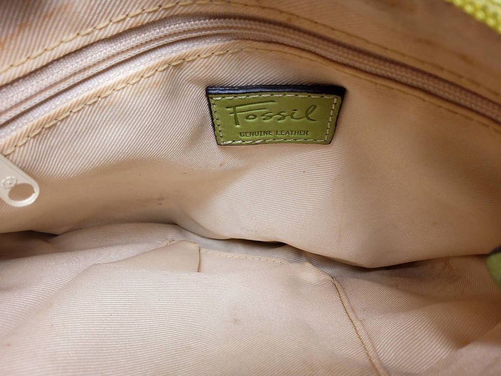 ภาพขนาดย่อ: FOSSIL