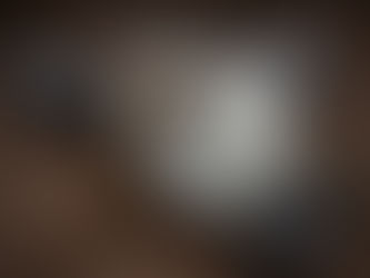 SAVE YOUR LOCAL GUN STORE