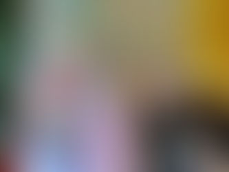 Suara Masyarakat tentang Masa Depan Hutan