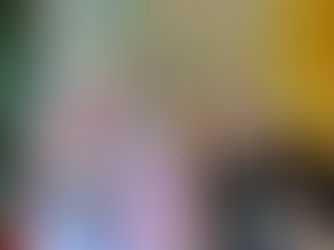 Suara Masyarakat tentang Masa Depan Hutan