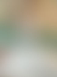 Local Knowledge: The Secret to JB Service's Success