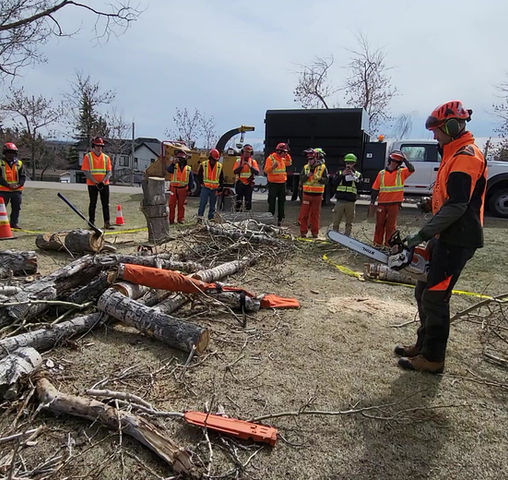Chainsaw Protection 101