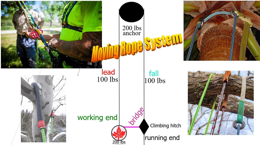 Moving Rope System Diagram (MRS)
