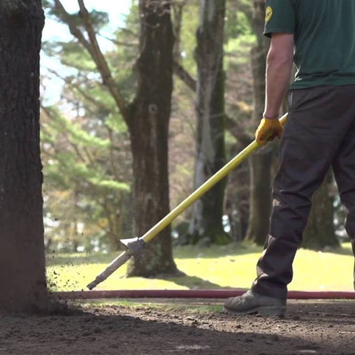 Pneumatic Excavation for Arborists