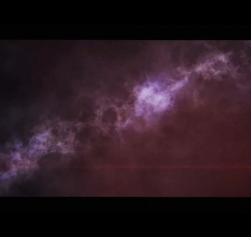 Pileated Woodpecker Conservation - An inACTEion Report