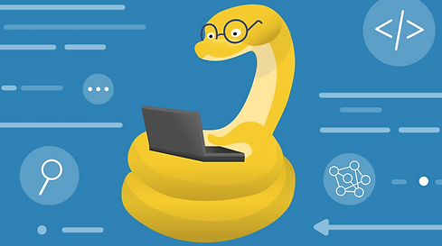 Python programming