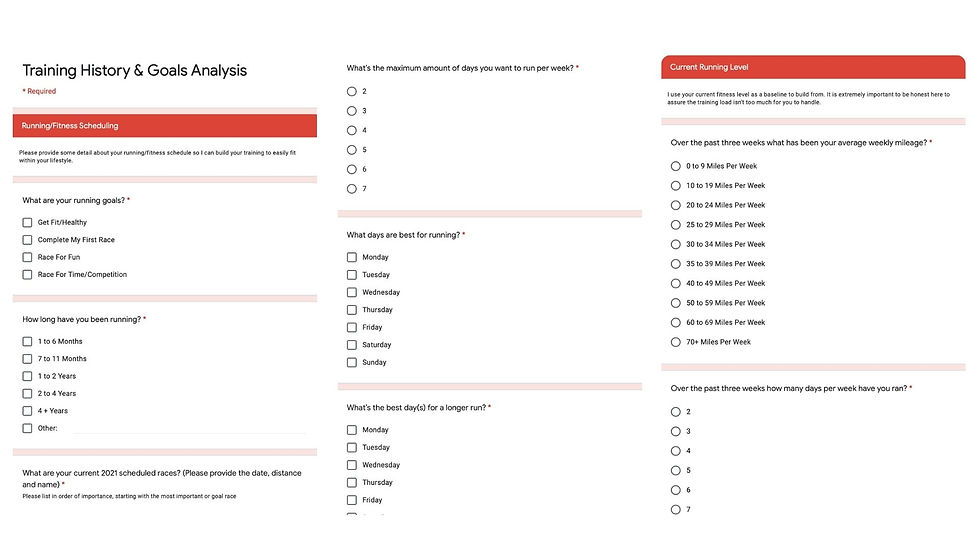 Our detailed Training History & Goals Analysis Questionnaire.